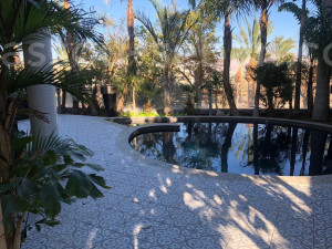 Venda Casarão Eilat