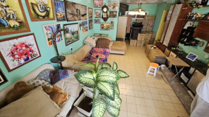 Venda Apartamento Ashdod