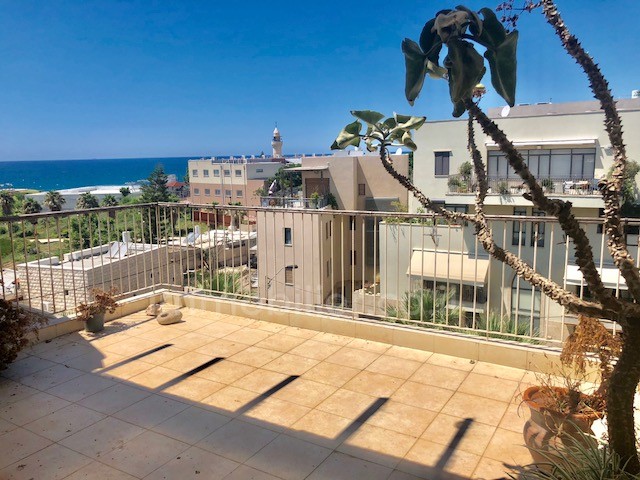 Duplex 3 cômodos  Tel Aviv Yaffo 291-IBL-673