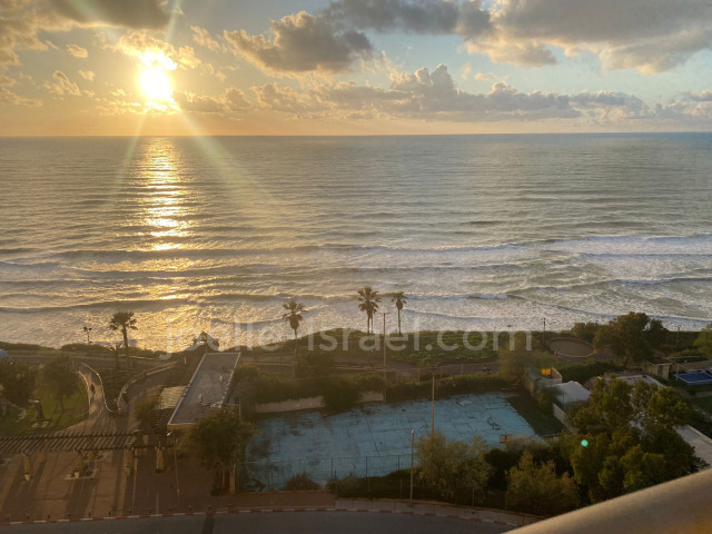 Aluguel Apartamento Netanya