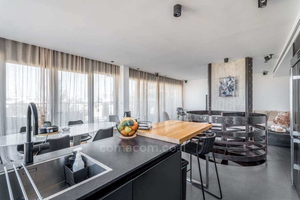 Duplex-Cobertura 5 cômodos  Tel Aviv Shenkin 342-IBL-6210