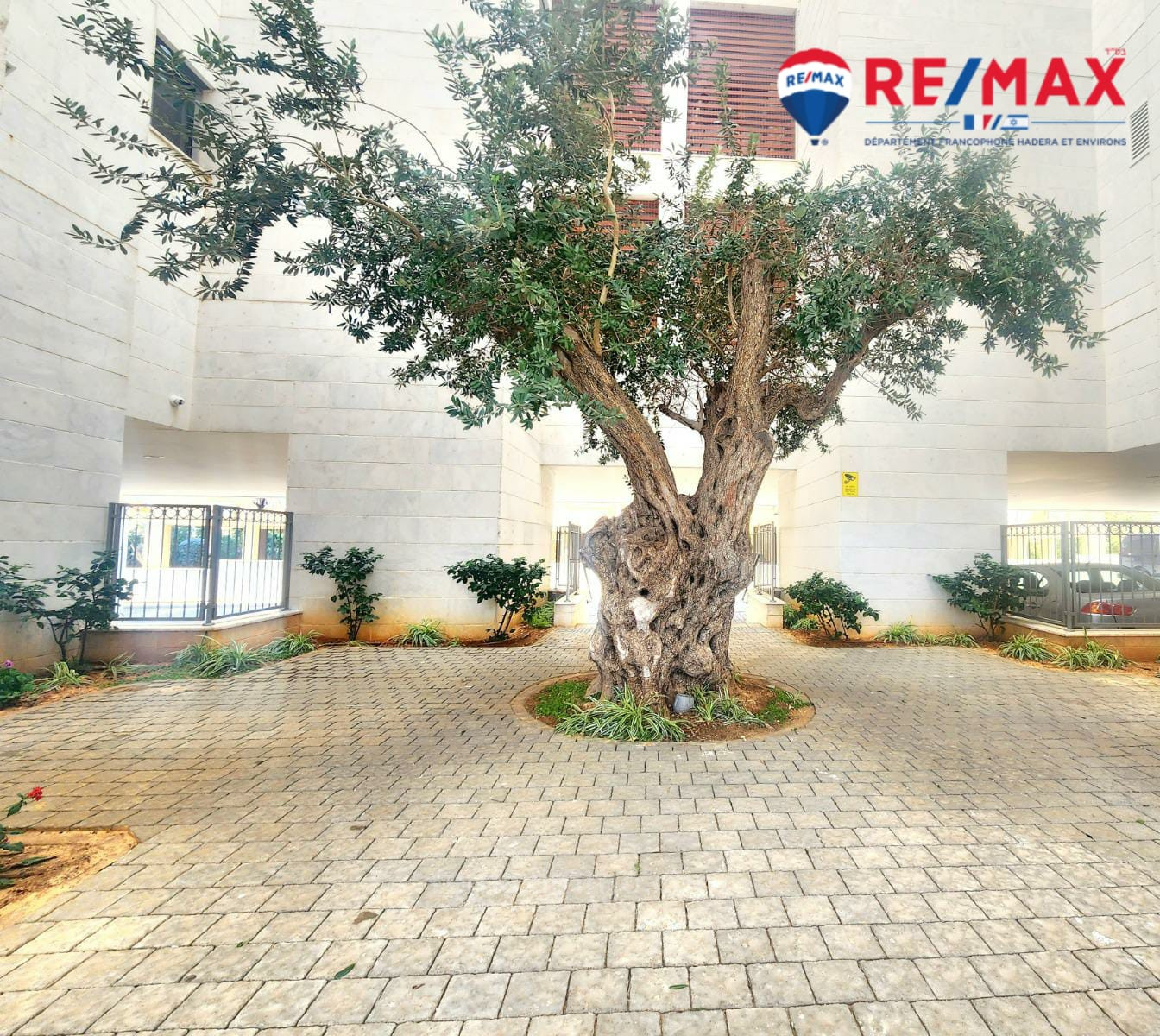 Cobertura 5 cômodos Hadera Centro da cidade 379-IBL-390