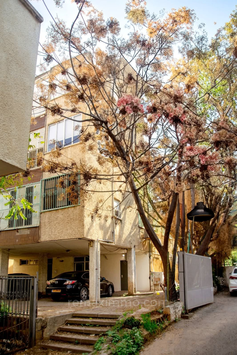 Apartamento 4 cômodos Hadera Centro da cidade 379-IBL-419