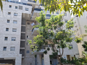 Venda Minicobertura Netanya