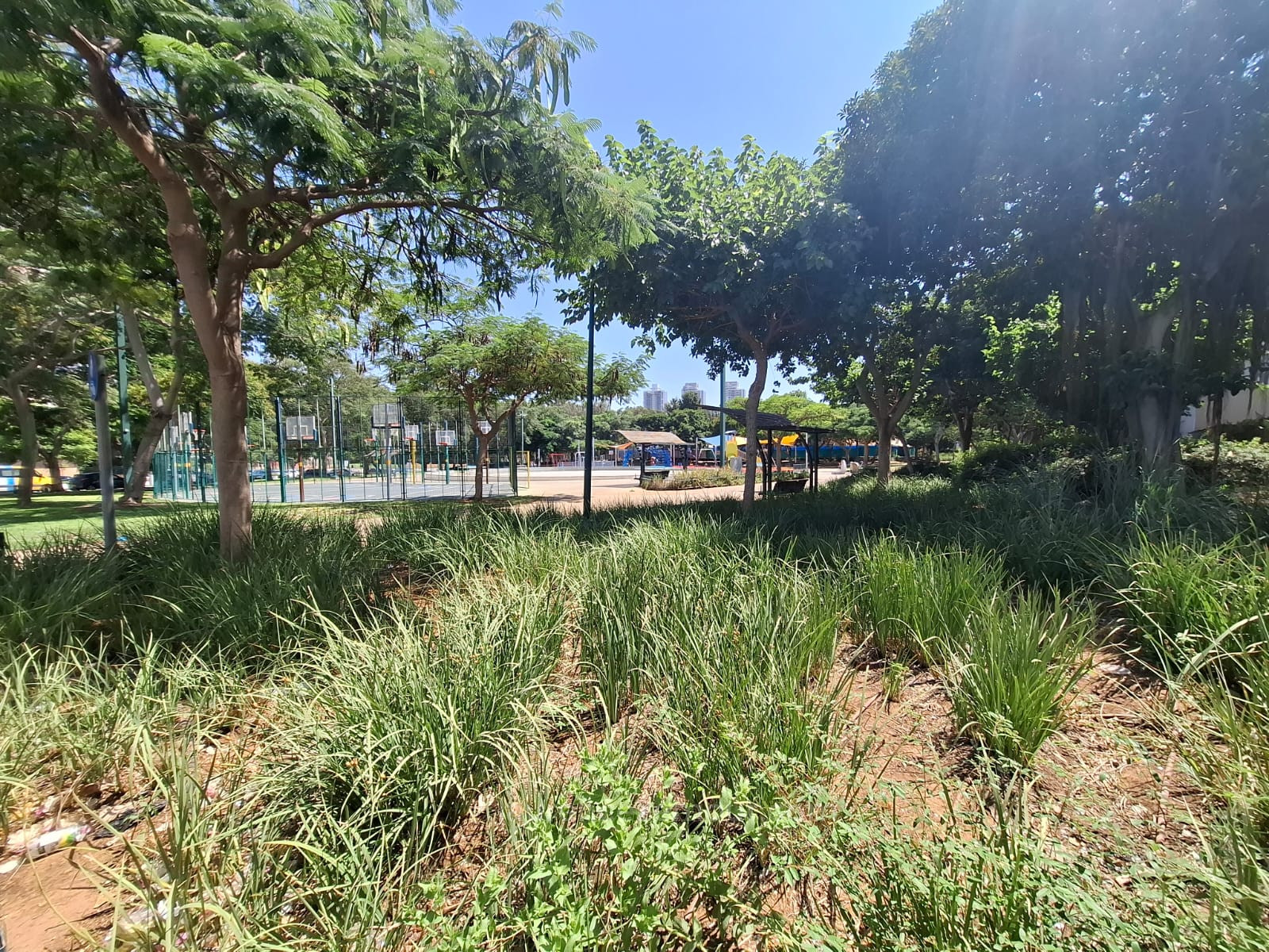 Minicobertura 5 cômodos Netanya Agamim 60-IBL-1446