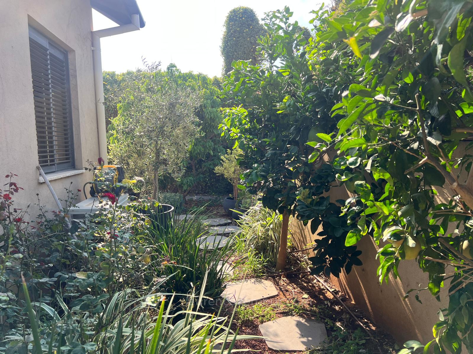 Casa de campo 5 cômodos Raanana Kiryat Sharet 60-IBL-1472