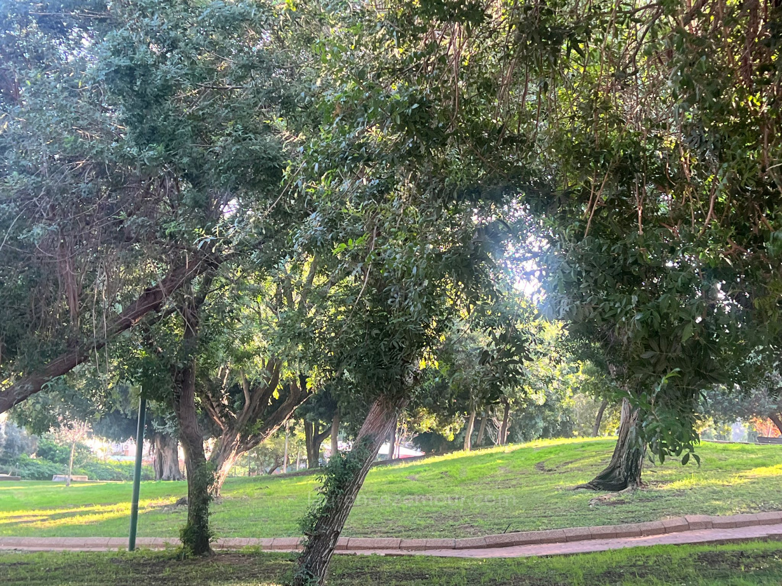 Casa de campo 8.5 cômodos Raanana 2005 60-IBL-1492