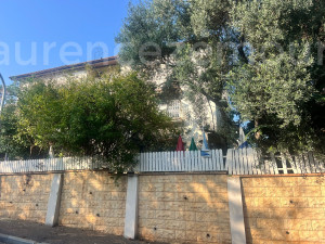 Venda Casa de campo Raanana